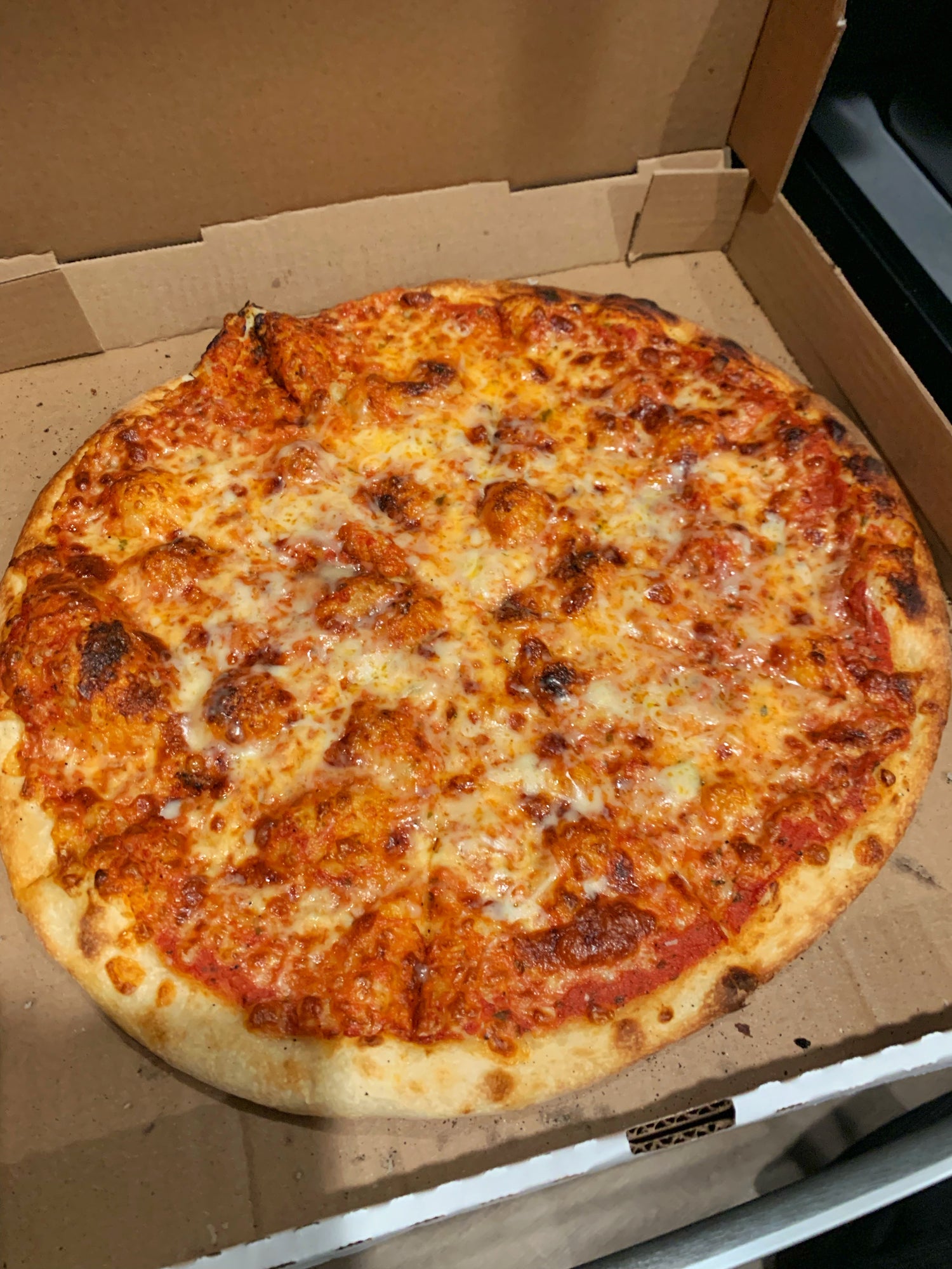 Exploring Philadelphia's Own: Pizza Brain